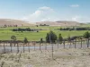 27 River Street, Hamilton, Tas 7140-Image