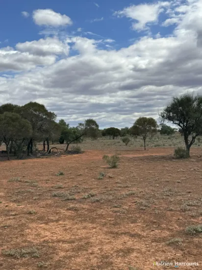 27 Singleton Drive, Cobar, NSW 2835
