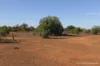 27 Singleton Drive, Cobar, NSW 2835-Image