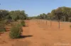 27 Singleton Drive, Cobar, NSW 2835-Image
