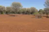 27 Singleton Drive, Cobar, NSW 2835-Image