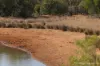 27 Singleton Drive, Cobar, NSW 2835-Image