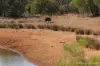 27 Singleton Drive, Cobar, NSW 2835-Image