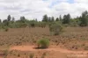 27 Singleton Drive, Cobar, NSW 2835-Image
