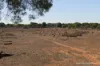 27 Singleton Drive, Cobar, NSW 2835-Image