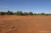 27 Singleton Drive, Cobar, NSW 2835-Image