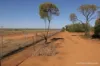 27 Singleton Drive, Cobar, NSW 2835-Image