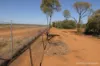 27 Singleton Drive, Cobar, NSW 2835-Image
