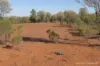 27 Singleton Drive, Cobar, NSW 2835-Image