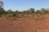 27 Singleton Drive, Cobar, NSW 2835-Image