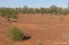 27 Singleton Drive, Cobar, NSW 2835-Image