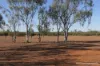 27 Singleton Drive, Cobar, NSW 2835-Image