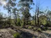 27 Stewart Crescent, Taroona, Tas 7053
