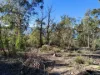 27 Stewart Crescent, Taroona, Tas 7053-Image