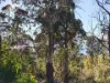 27 Stewart Crescent, Taroona, Tas 7053-Image