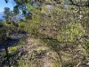 27 Stewart Crescent, Taroona, Tas 7053-Image