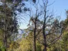 27 Stewart Crescent, Taroona, Tas 7053-Image