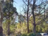27 Stewart Crescent, Taroona, Tas 7053-Image