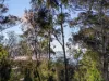 27 Stewart Crescent, Taroona, Tas 7053-Image