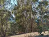 27 Stewart Crescent, Taroona, Tas 7053-Image