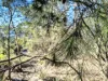 27 Stewart Crescent, Taroona, Tas 7053-Image