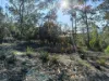 27 Stewart Crescent, Taroona, Tas 7053-Image