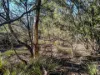 27 Stewart Crescent, Taroona, Tas 7053-Image