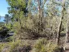 27 Stewart Crescent, Taroona, Tas 7053-Image