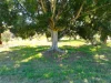 27 Vineyard Road, Wundowie, WA 6560-Image