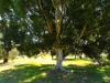 27 Vineyard Road, Wundowie, WA 6560-Image