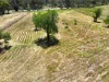 27 Vineyard Road, Wundowie, WA 6560-Image