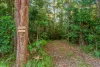 271 Ilkley Road, Ilkley, Qld 4554-Image