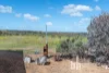 276 Long Gully Road, Mannum, SA 5238-Image