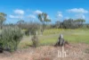 276 Long Gully Road, Mannum, SA 5238-Image
