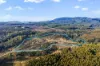 277 Diddleum Road, Tayene, Tas 7259