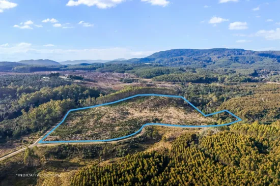 277 Diddleum Road, Tayene, Tas 7259