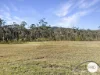 28 Botanic Drive, Kew, NSW 2439-Image