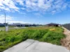 28 Bowick Street, Wynyard, Tas 7325-Image