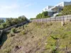 28 Nicholas Drive, Sandy Bay, Tas 7005-Image