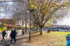 28 Scotsburn Grove, Werribee, Vic 3030-Image