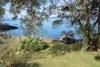 28 The Esplanade, North Arm Cove, NSW 2324-Image