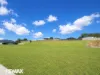 28 Vincent Crescent, Lake Bunga, Vic 3909-Image