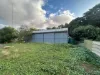 28 William Street, Brinkworth, SA 5464-Image