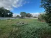 28 William Street, Brinkworth, SA 5464-Image