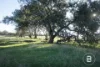 280 Halls Road, Talbot, Vic 3371-Image