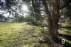 280 Halls Road, Talbot, Vic 3371-Image