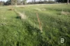 280 Halls Road, Talbot, Vic 3371-Image