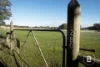 280 Halls Road, Talbot, Vic 3371-Image