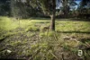 280 Halls Road, Talbot, Vic 3371-Image