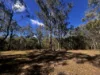 281 Brocklehurst Road, Wattle Camp, Qld 4615-Image